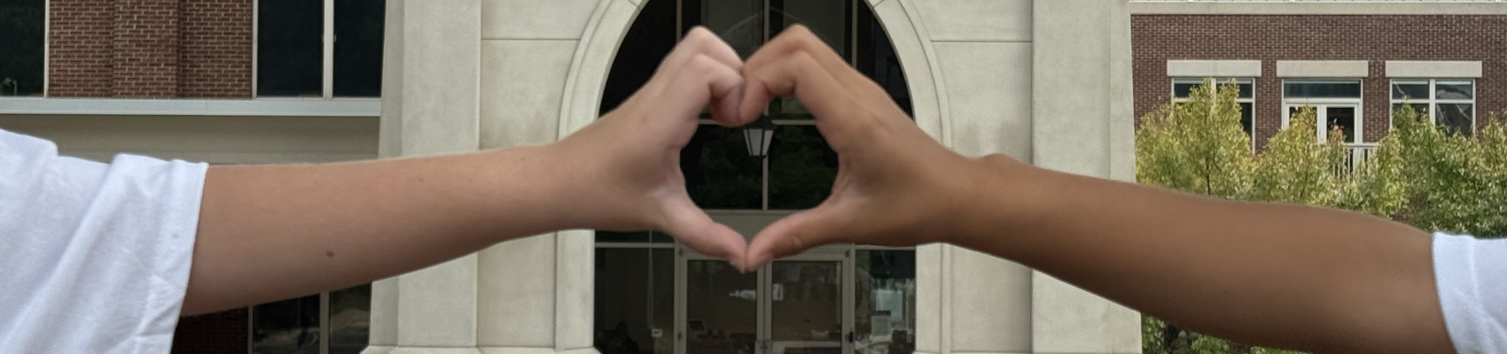 Heart Arch